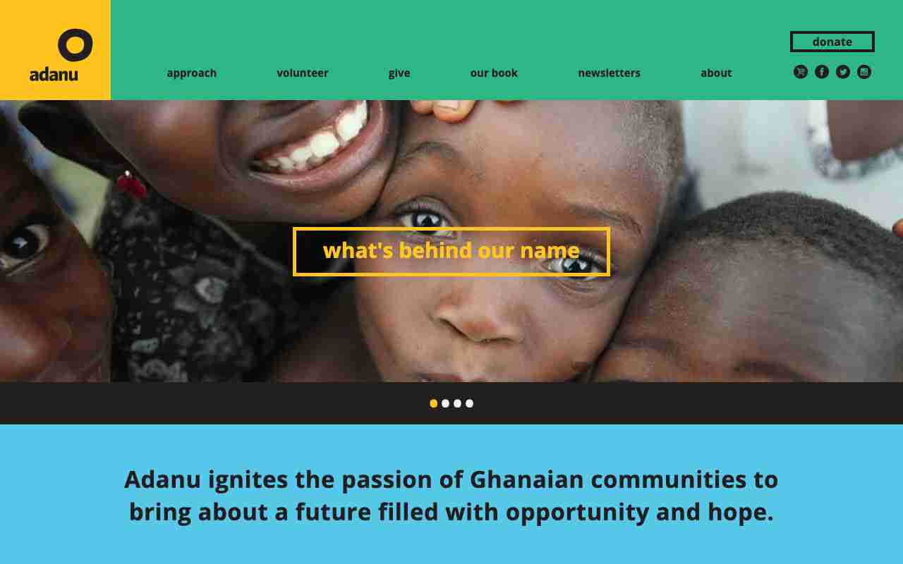 Screenshot of Adanu website.