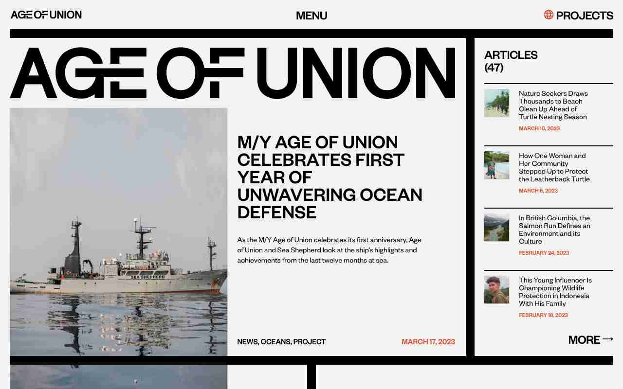Screenshot of Age of Union website.