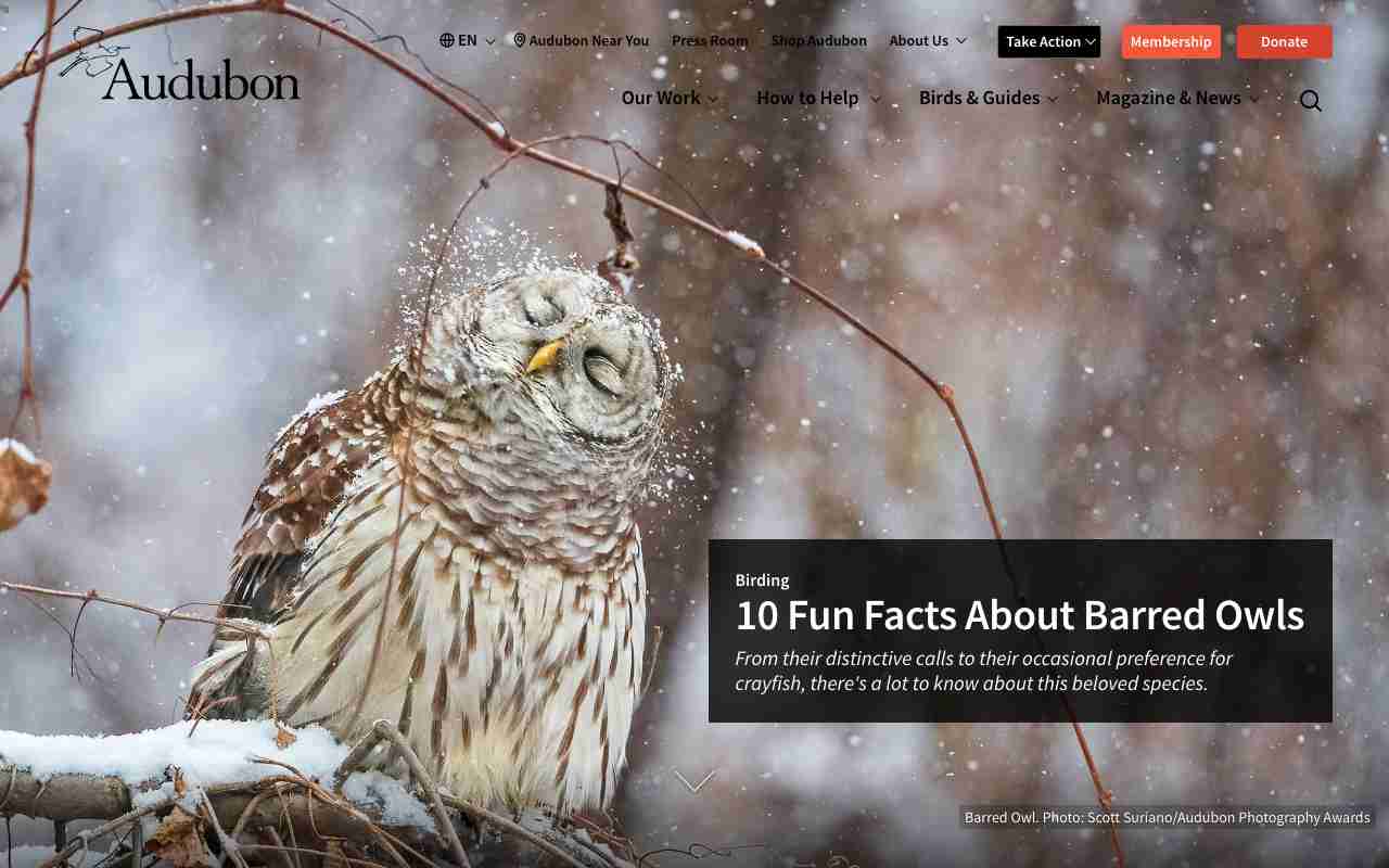 Screenshot of National Audubon Society website.