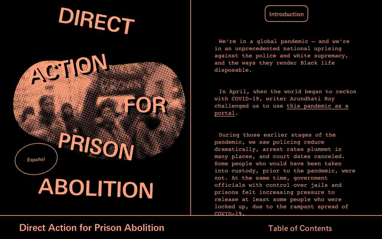 Screenshot of Direct Action for Prison Abolition website.