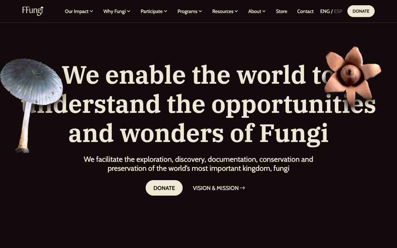 Screenshot of Fungi Foundation website.
