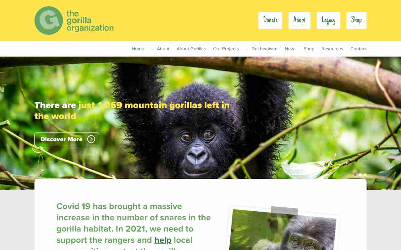 Screenshot of The Gorilla Organization website.