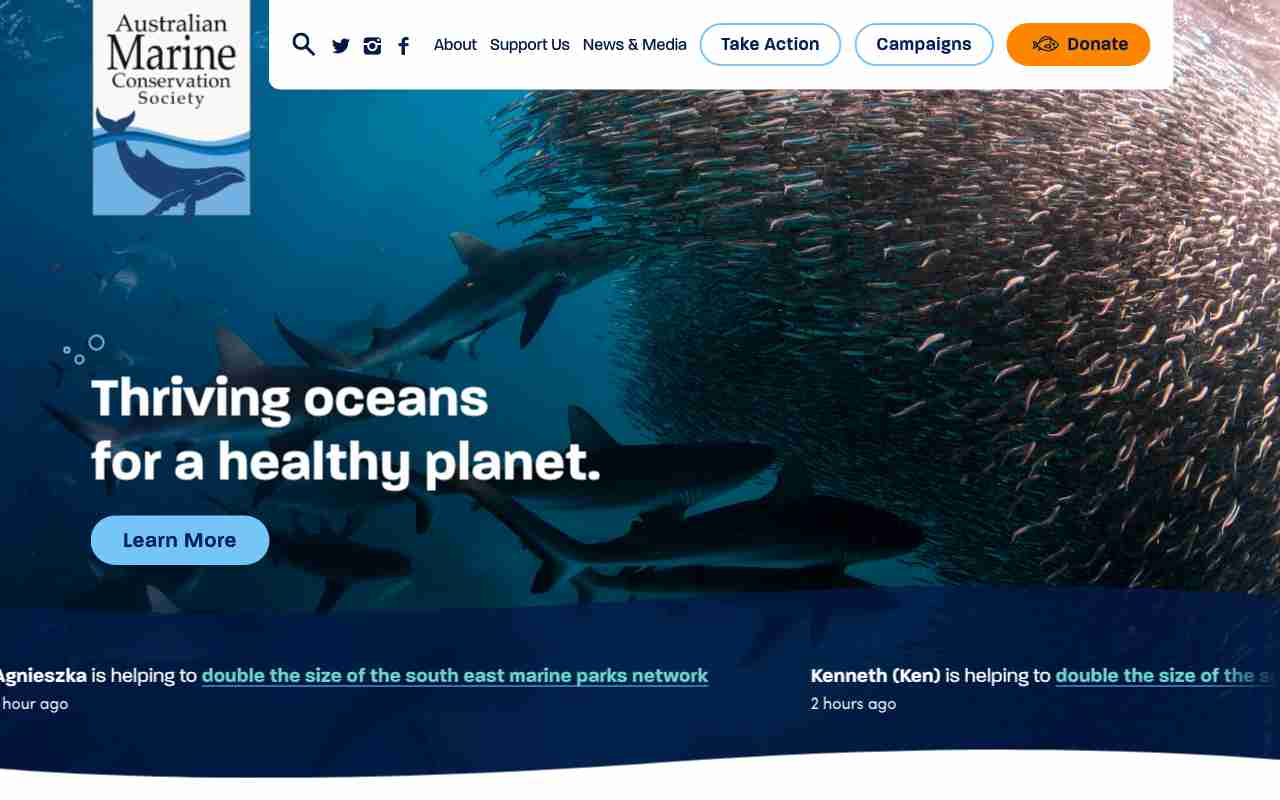 Screenshot of Australian Marine Conservation Society website.