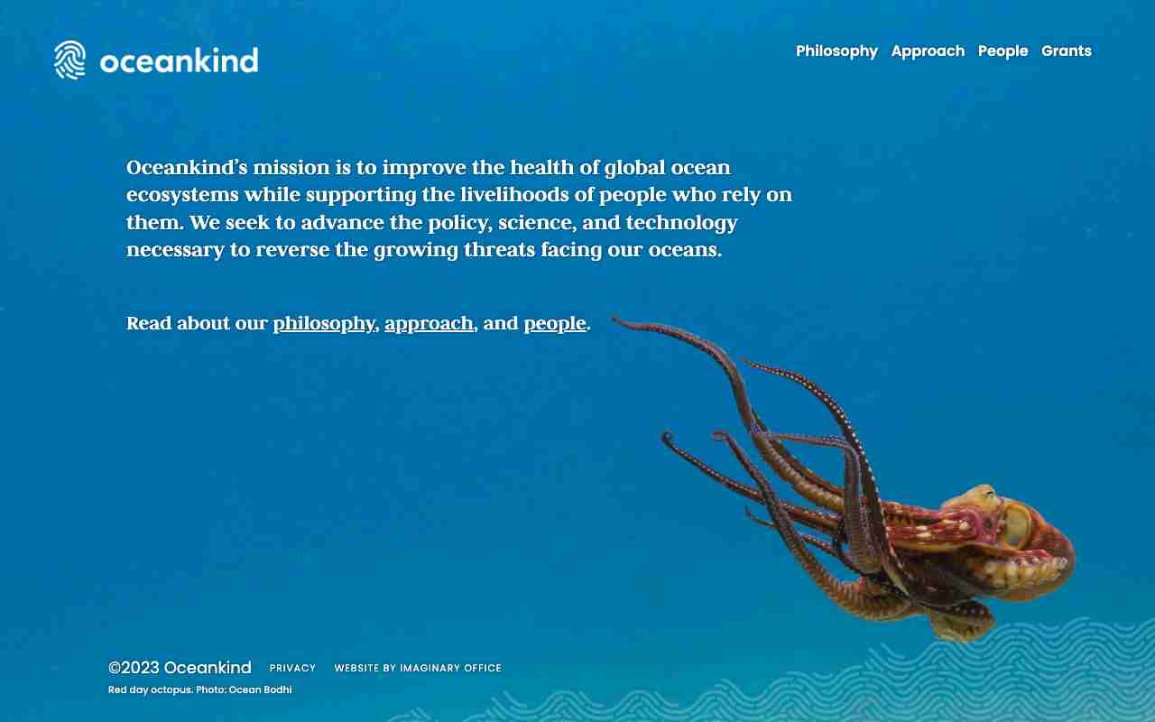 Screenshot of Oceankind website.
