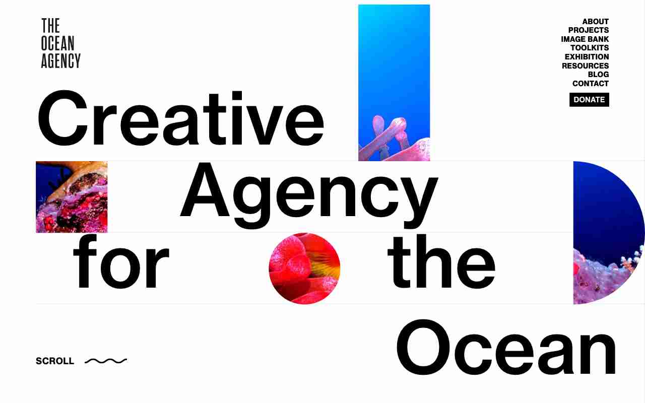 Screenshot of The Ocean Agency website.