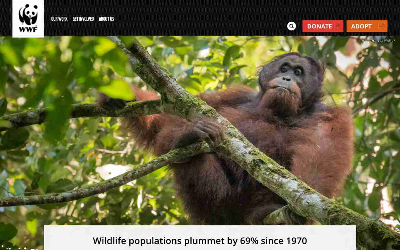 Screenshot of World Wildlife Fund website.